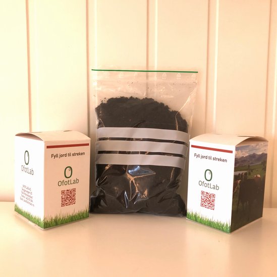 Hvordan ta en forprøve