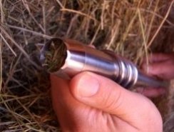 Vitallic norsk prøveuttaker - bilde 2